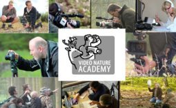 Vidéo Nature Academy 2016 - 12ème édition