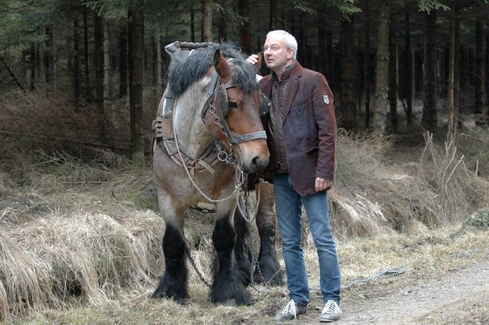 soreil_cheval.jpg
