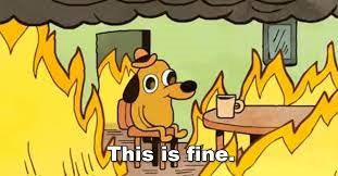 Un meme militant avec un petit chien assis calmement au milieu de sa maison en feu. Son titre : "this is fine".