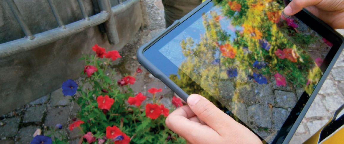 fleurs.png