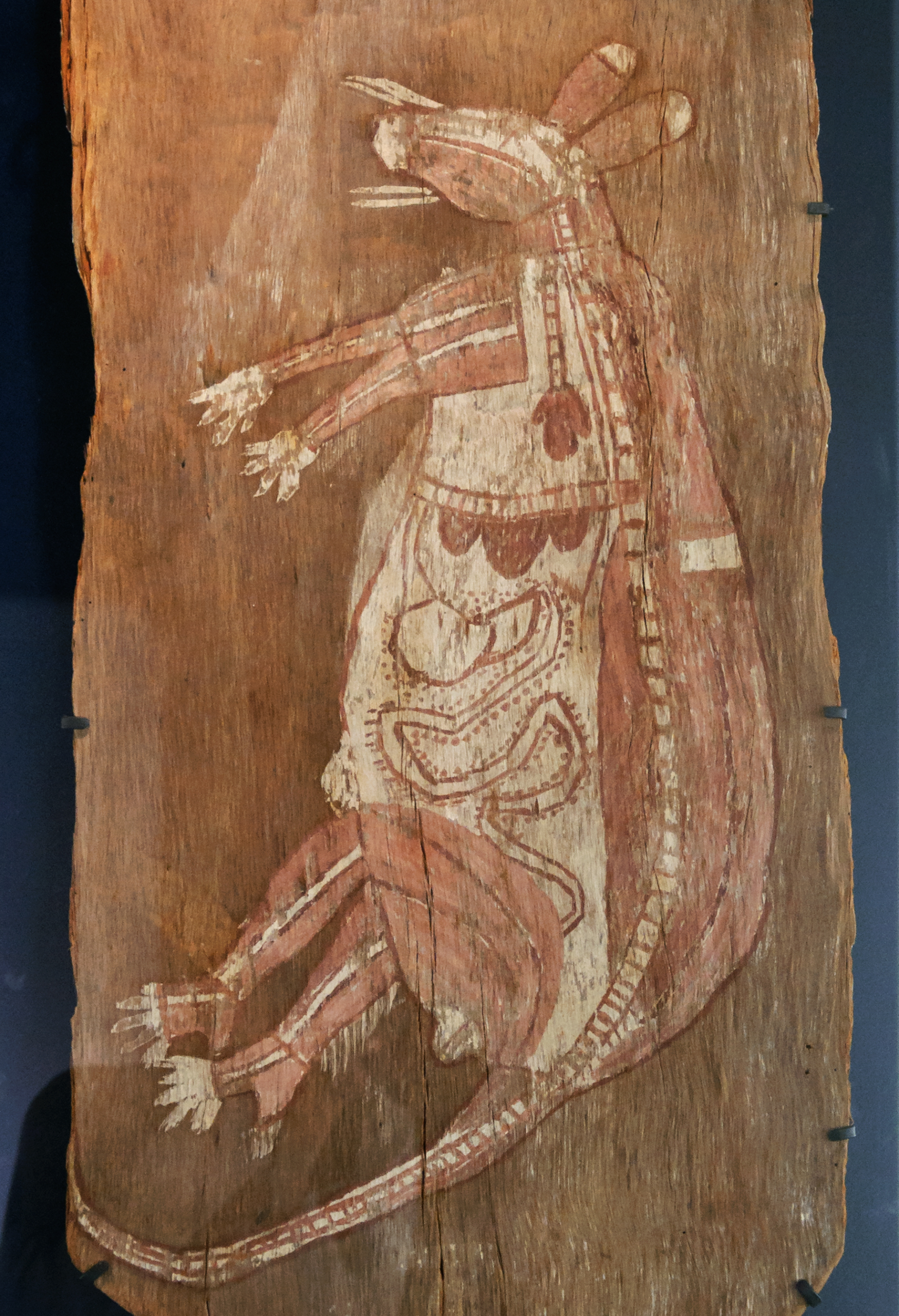 Dessin d'un kangourou sur une plaque de bois. l'intérieur de son corps recèle différents détails, des chemins...